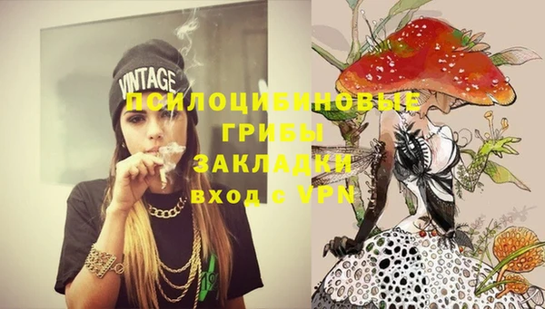 спиды Аркадак