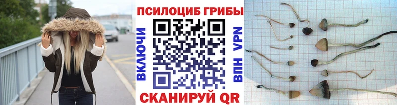 Галлюциногенные грибы мицелий  Череповец 